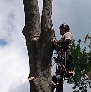 Meet your Posher, Glenn